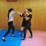 hook boxing 2